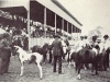 Williamson County Fair Ground